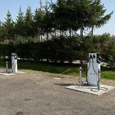 Vila Radailiai - Dinosaur Park Exterior photo